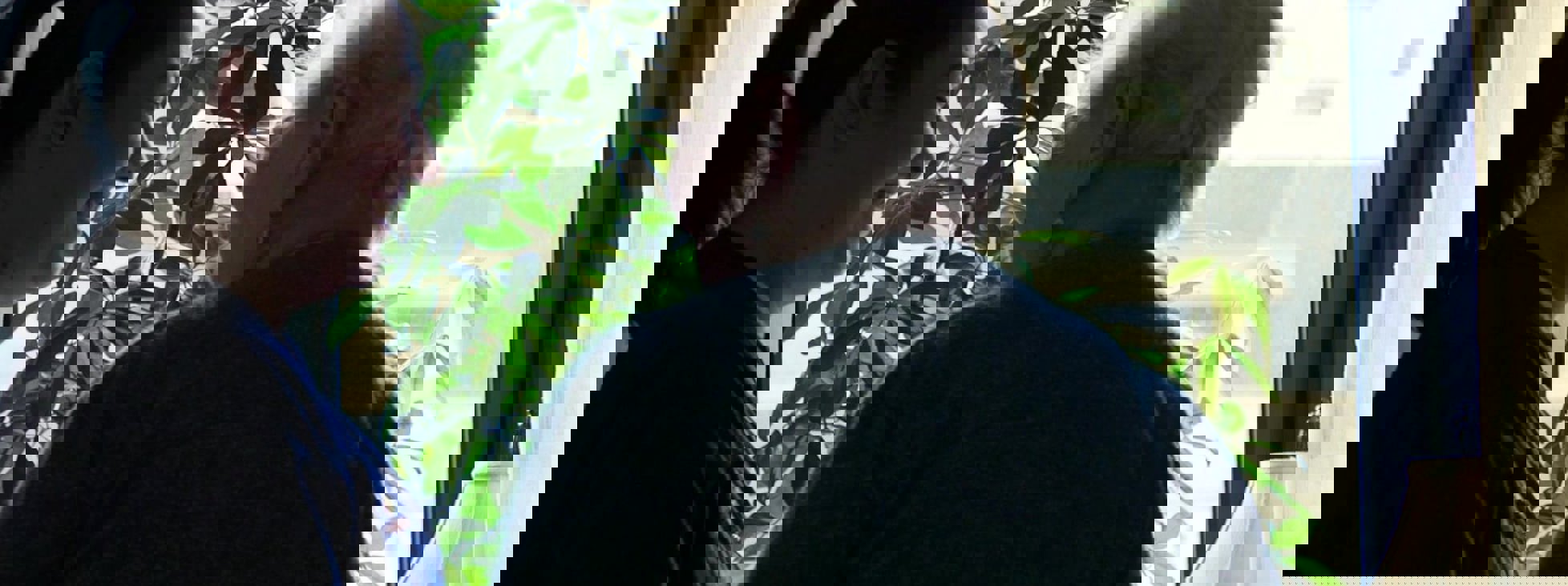 03A229ace1756158b822ae9e192086e6d45d47ee