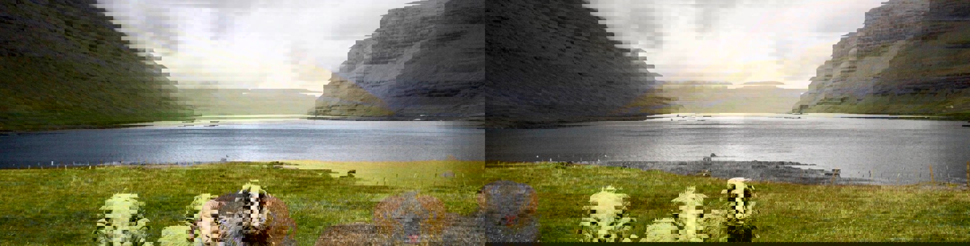 Dylan Shaw Aavr8hb75ko Unsplash