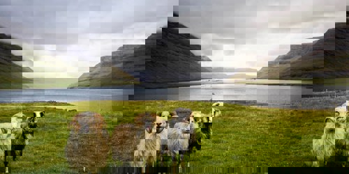 Dylan Shaw Aavr8hb75ko Unsplash