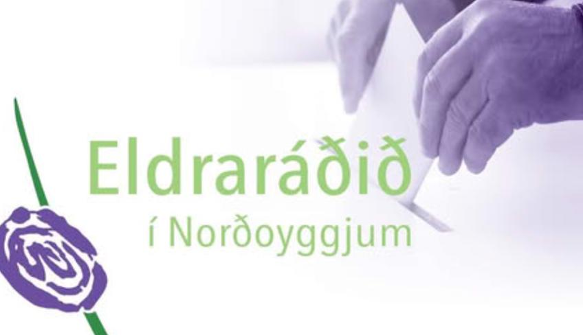 Skærmbillede 2025 11 17 204948